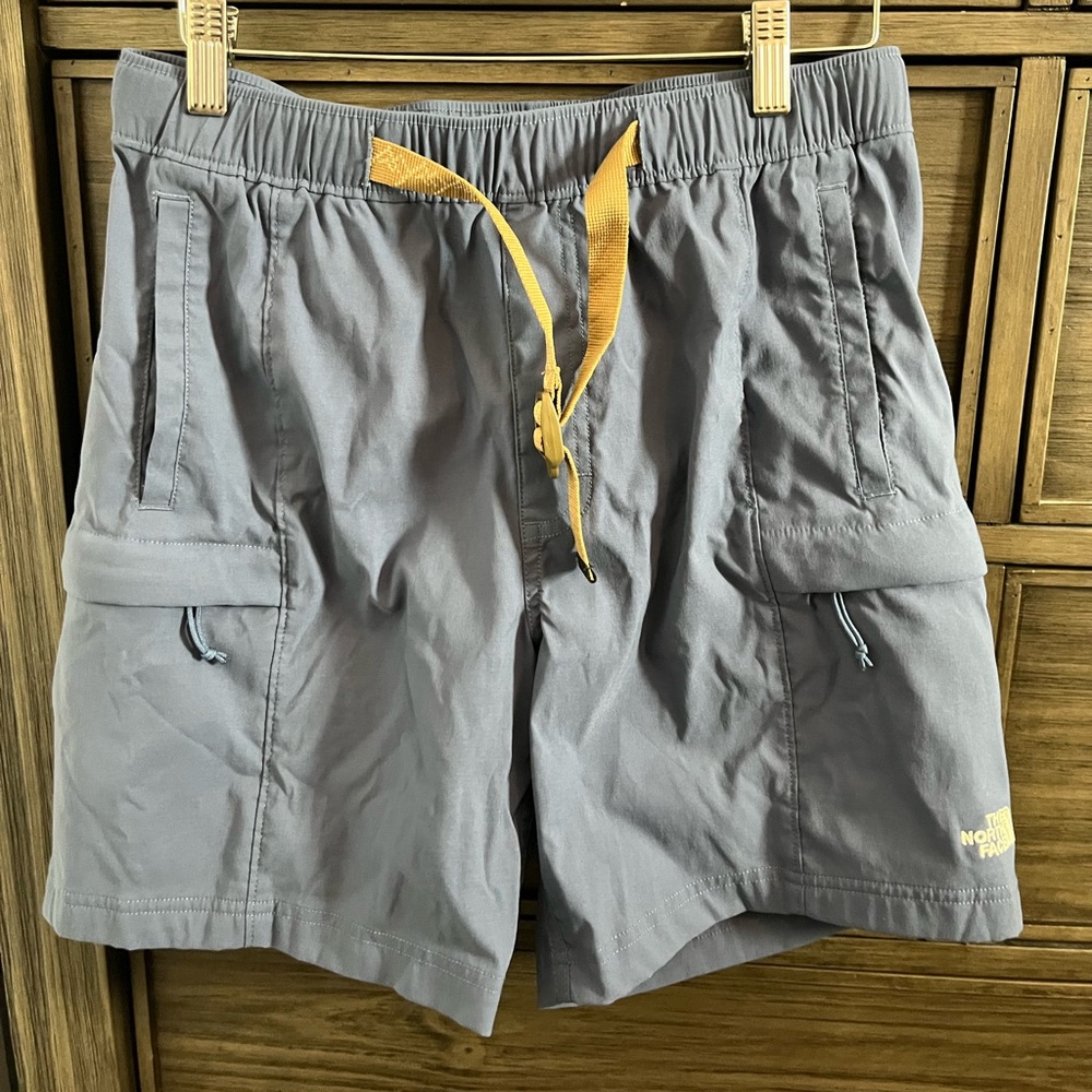 the northface cargo men shorts